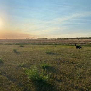 ANY 5 Items for 45$!!!🤩